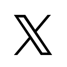 公式X
